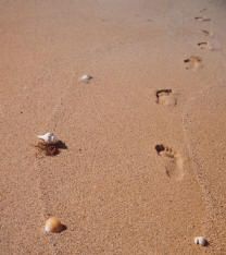 spiritual growth ebooks